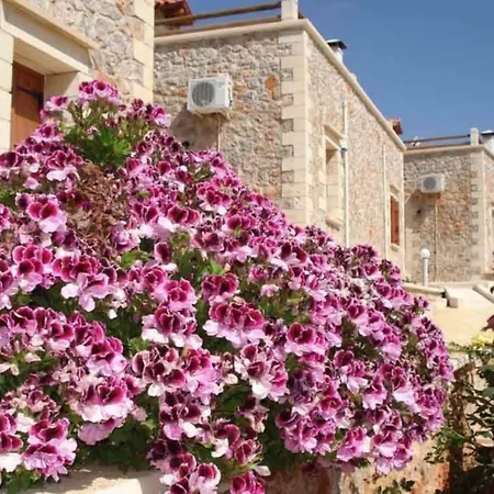 Viola Suites- 5 With Shared Pool * Ξηροστέρνι