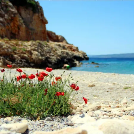 Σπίτι διακοπών Viola Suites- 5 With Shared Pool *